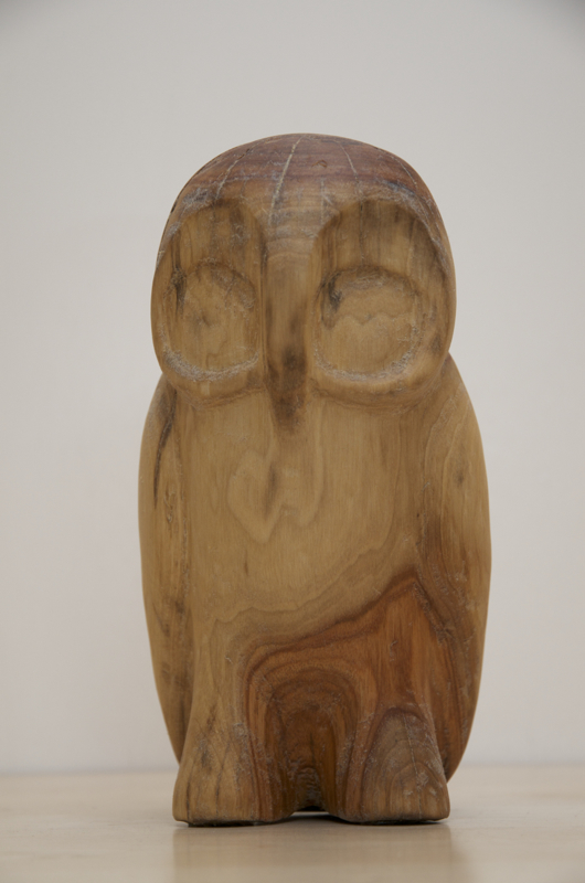 steenuiltje hout